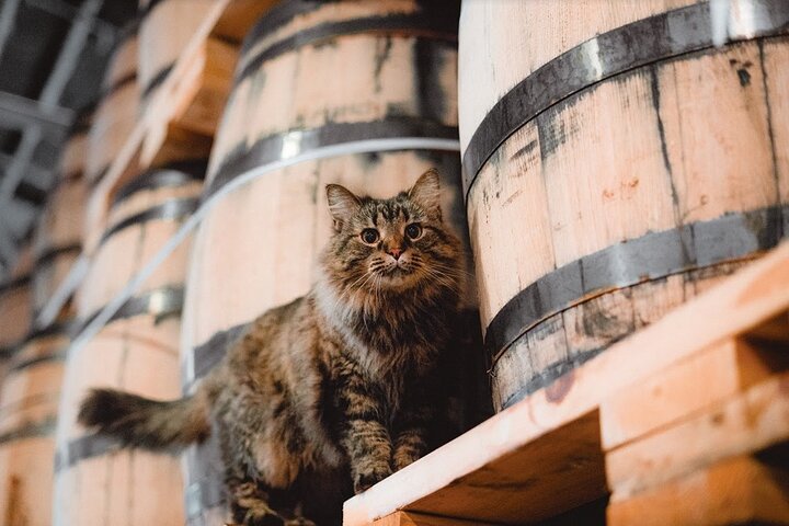 Experience Image img3