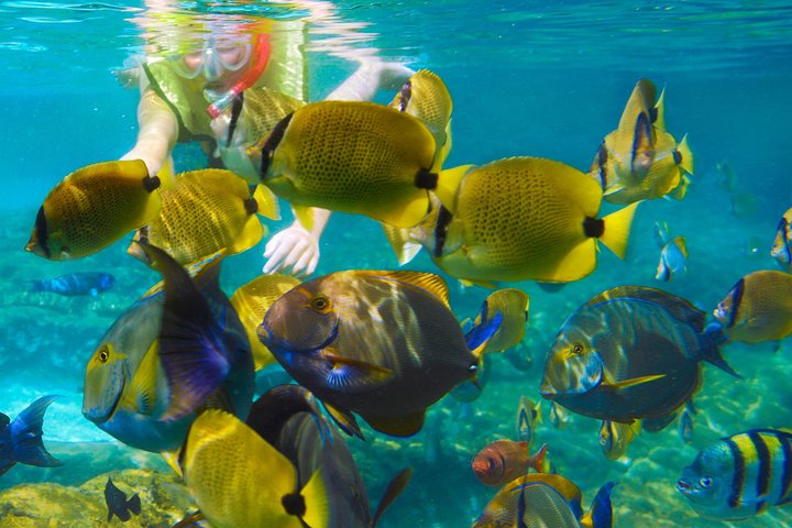 Discover Krabi's Underwater Wonders: A Snorkeling Adventure