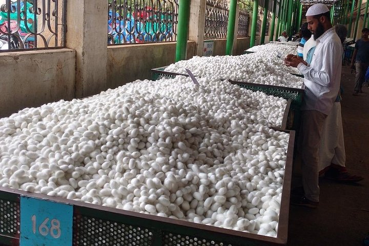 Experience Image img1