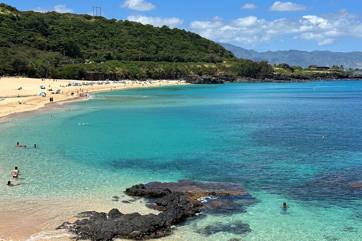 Oahu's North Shore Surf Bus Tour: Turtles, Waimea & More!