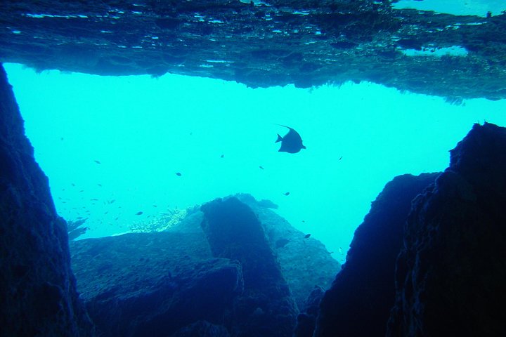 Dive into Paradise: Full-Day Similan Islands Scuba Adventure from Phuket!