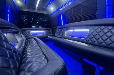 Charleston Party Bus: Your Mobile Celebration Station!