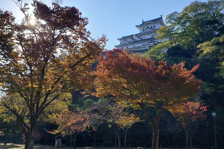 Experience Image img4