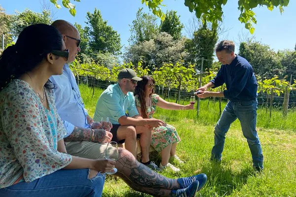 Somerset Wine & Cheese Tour: Lunch Included!