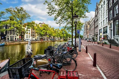 Amsterdam to Rotterdam Private Tour: Local Expert!
