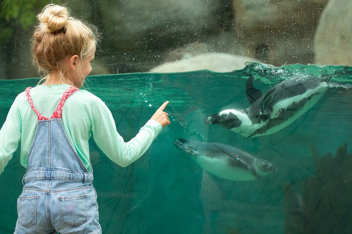 Experience Image img2