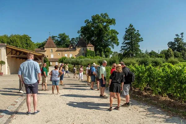 Uncork Bordeaux: Half-Day Vineyard Adventures & Wine Tasting