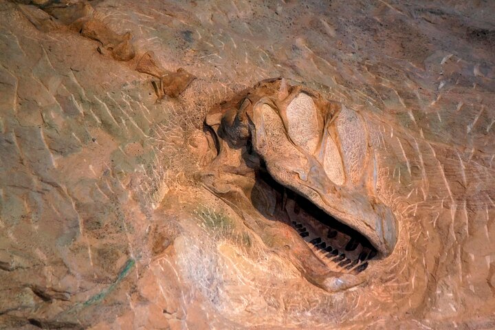 Experience Image img4