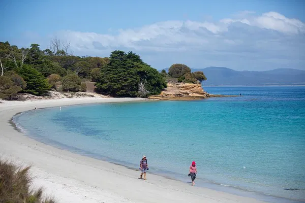 Maria Island Adventure: A Day of History, Wildlife & Scenic Hikes
