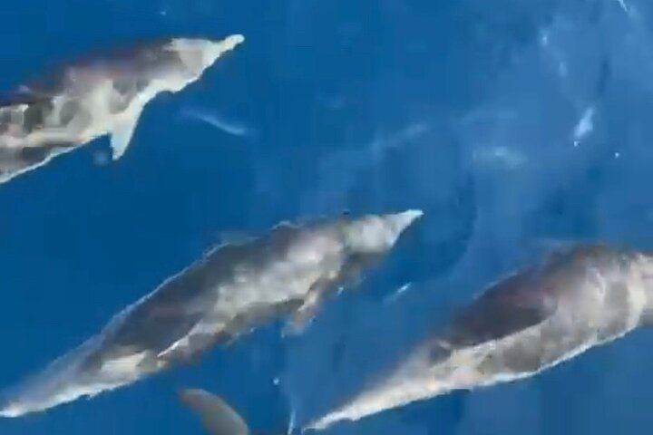 Experience Image img1