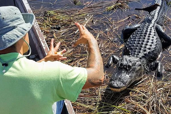 Everglades Tour: Airboat Ride & Nature Walk - Hotel Pickup