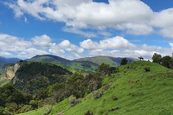 NZ Horse Ride: Canter Through River Valley!