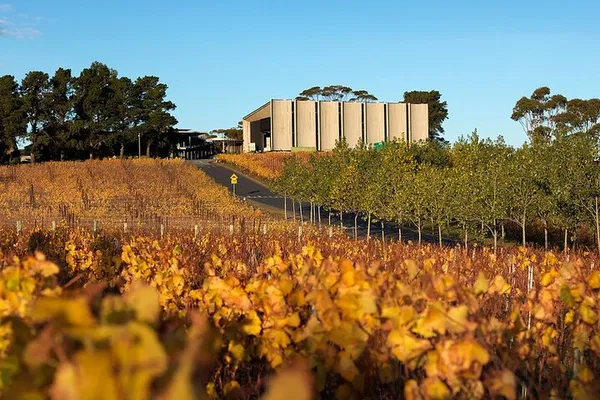 Moorilla Wine & Art Tour: Mona Museum Adventure