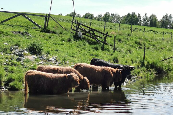 Experience Image img3