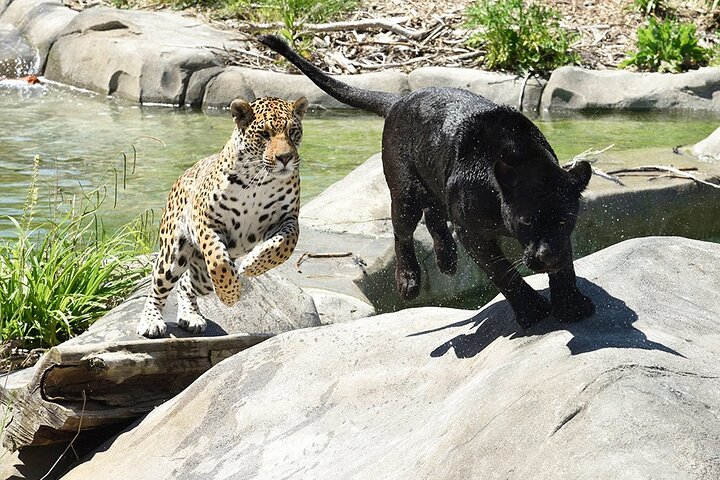 Experience Image img1