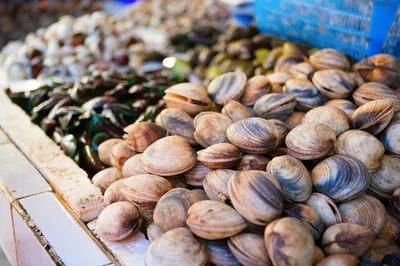 Marsala Market Tour & Cooking Class: Sicilian Gastronomic Adventure