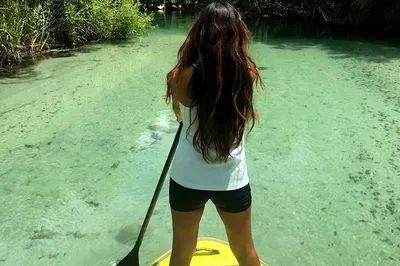 Miami's Mangrove Magic: Stand Up Paddle Boarding Adventure