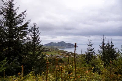 Arran Day Trip from Glasgow: Castle & Island Tour