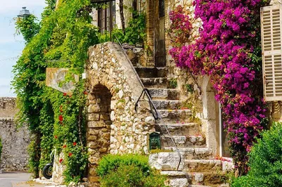 Côte d'Azur Dream: Cannes, Grasse, & Provençal Gems Day Trip