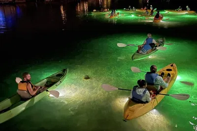 Clearwater's Sharkey's Night Kayak: Fish Feeding!