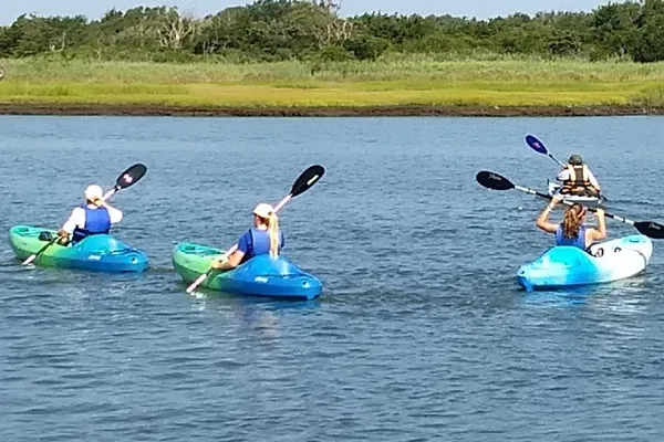 Glide Through Cape May's Serene Creek: A Kayaking Adventure