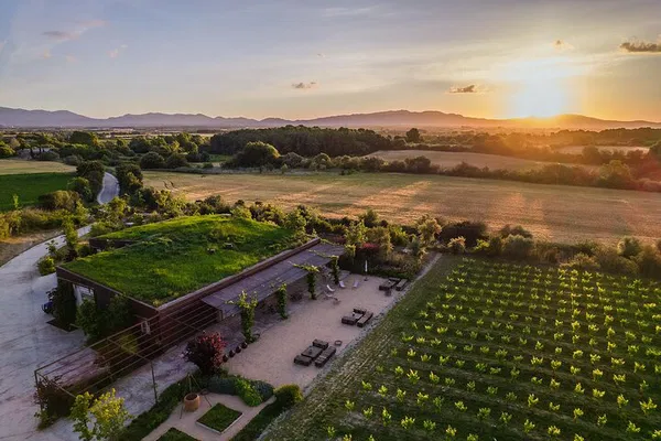 L'Empordà Vineyard Walk & Wine Tasting Experience