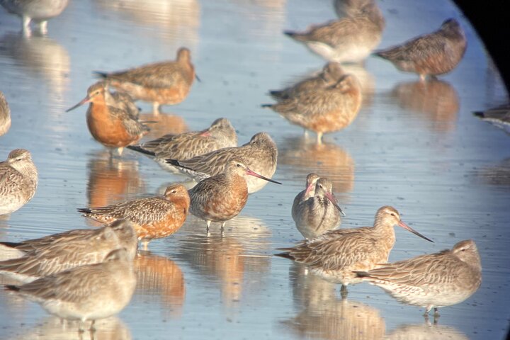 Experience Image img3