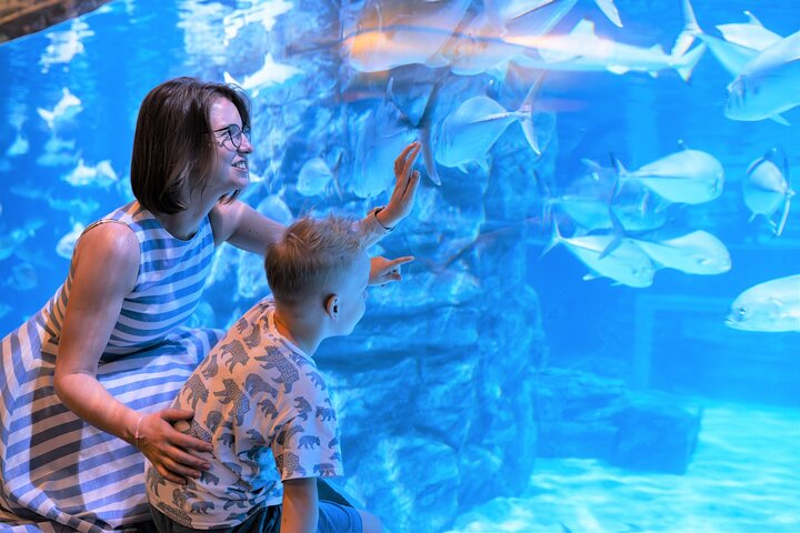Phuket's Aquatic & AR Adventure: Dive into Wonder!