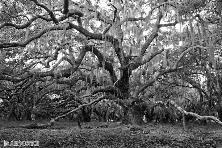 Experience Image img2