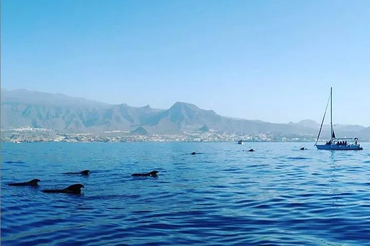img0