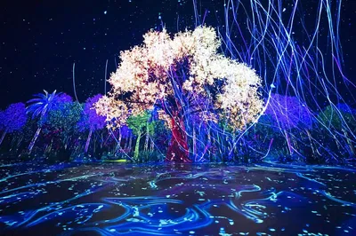 Explore Vietnam's Digital Art Scene: SốngLab Ticket