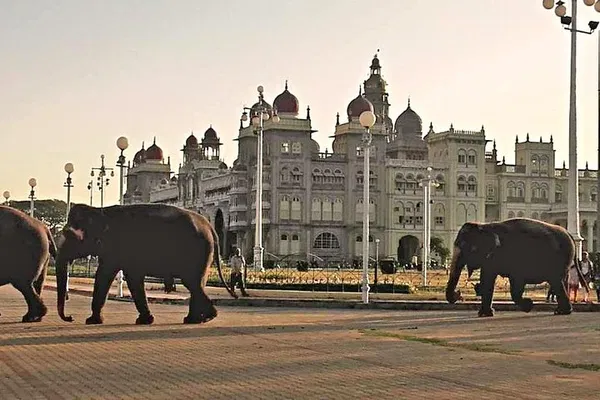 Mysore Day Trip: Top 3 Sites, Lunch & Transport