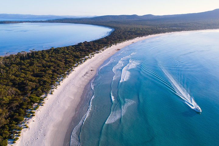 Maria Island Cruise: See Wildlife & Convict History