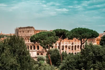Unveiling Ancient Rome: A Colosseum & Forum Private Journey