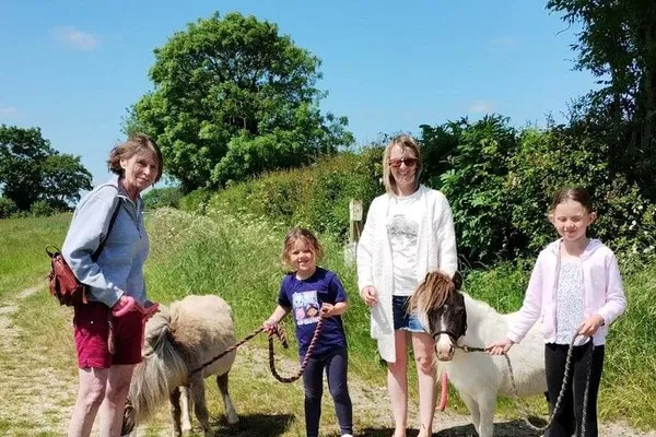 Miniature Horse Walk: A Falabella Adventure in the East Midlands