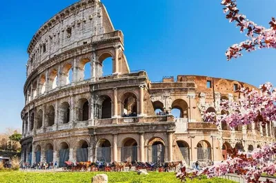 Unearth Ancient Rome: Colosseum, Forum & Palatine Hill Adventure