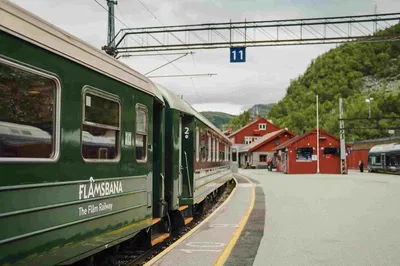 Viking Village, Fjord Cruise & Railway: Bergen Day Trip