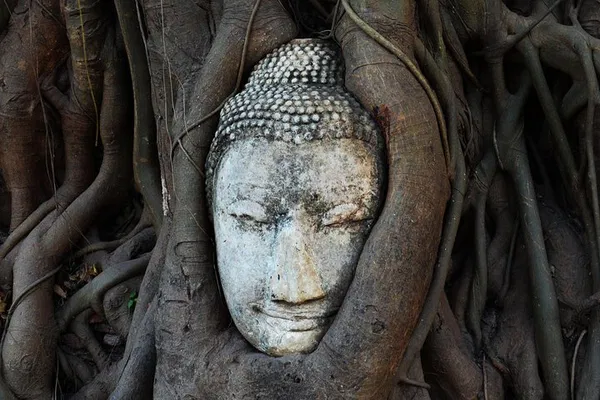 Ayutthaya Private Tour: Temple & River Boat Trip