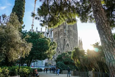 Barcelona Walking Tour: Sagrada Familia & Gothic Quarter