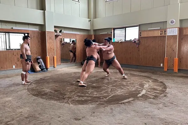 Exclusive Sumo Experience: Tour, Dine & Wrestle in Tokyo!