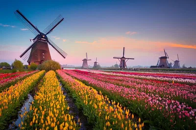 Amsterdam to Kinderdijk Private Transfer: Castle Stop & Comfort