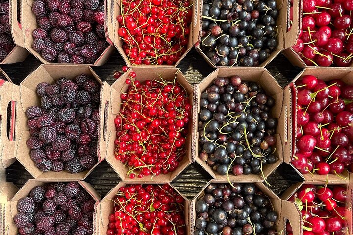 Experience Image img1