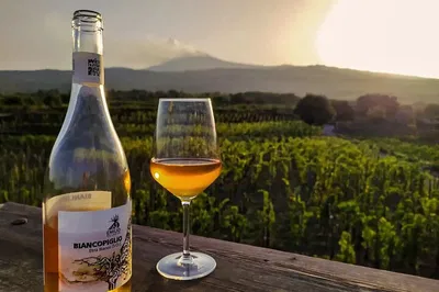 Etna Volcano Tour: Wine, Lunch & Lava Cave Adventure