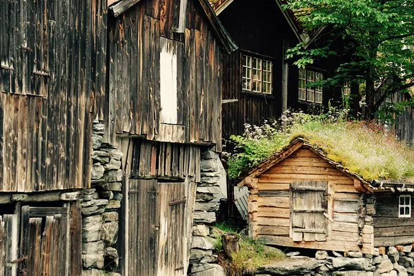 Ålesund: Private Geirangerfjord Tour (Up to 15 People)