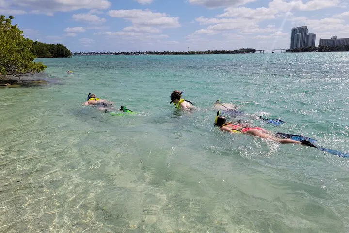 img0