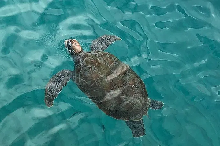 img0
