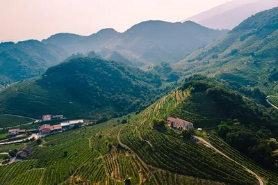 Prosecco Wine Tour: Taste Italy's Best from Venice