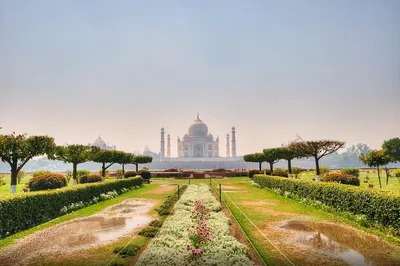 Unveiling India's Majesty: A 3-Day Golden Triangle & Birding Expedition