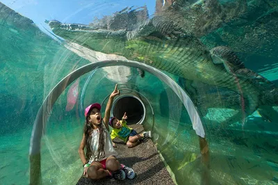 Explore the Wild: Zoo Miami Adventure Awaits!