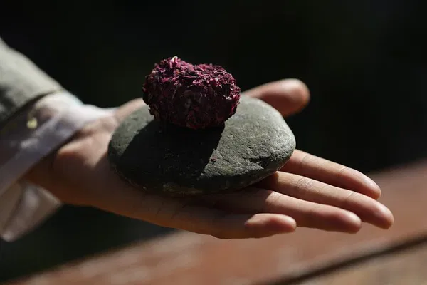 Culinary Heights: A Plant-Based Ladakhi Tasting Journey at Tsas